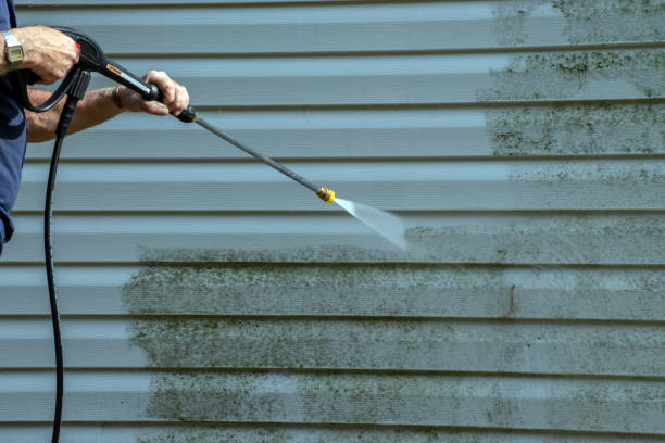 Animal Enclosure Cleaning in Opp, AL