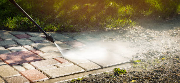 Best Gutter Cleaning  in Opp, AL